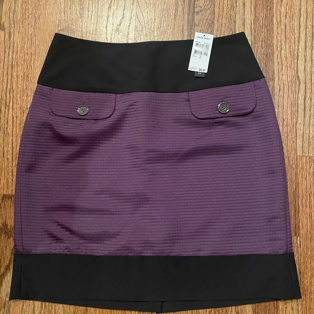 Chelsea & Theodore Size 2 Skirt NWT